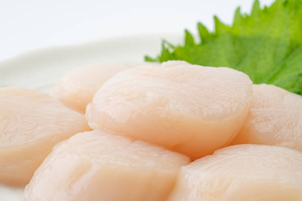 Close-up of scallop sashimi
