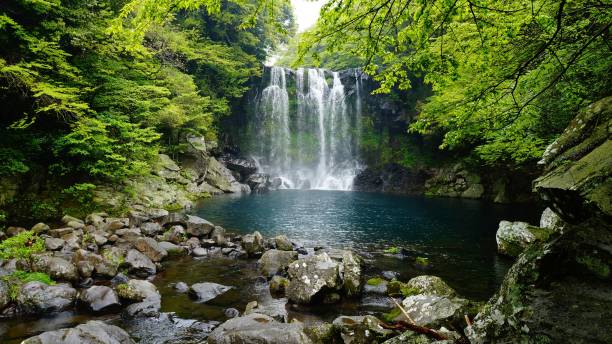 Cheonjiyeon waterfall in the Jeju island, Korea