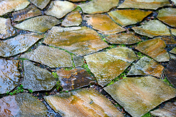 line of stepping stones across water