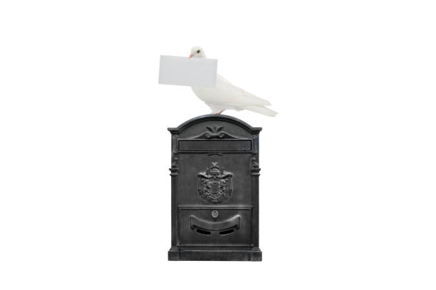 dove with a letter and mailbox isolated on white background
