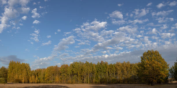Autumn cloudy windy weather rural landscape with brown and orange meadow and forest. Sky with dark clouds.