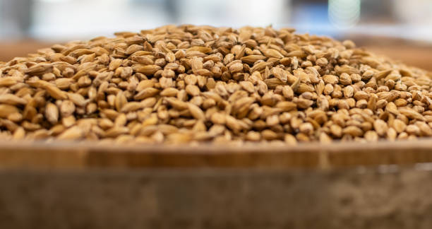 Close-up of rye grain on wooden cask in soft light