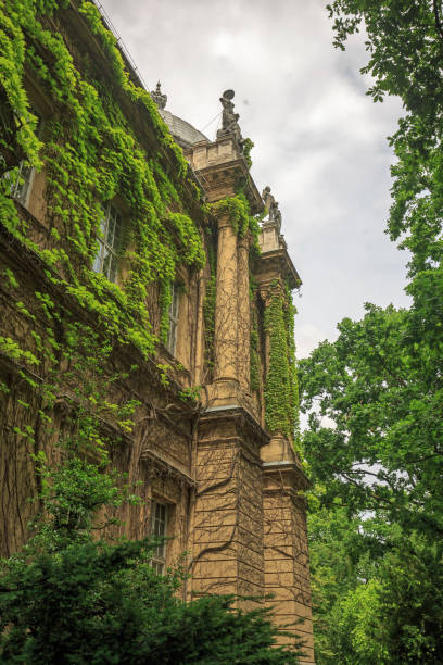 Spooky ivy filled Vajdahunyad Castle in Budapest set amongst a woodland setting - this is the castle that Bela Lugos Bust is located.