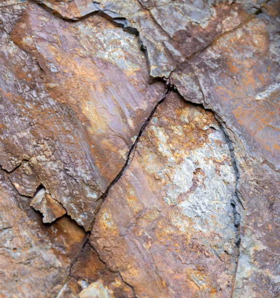 istock Multicolored rock quartzite sandstone background texture pattern for hero section of website 2156378584
