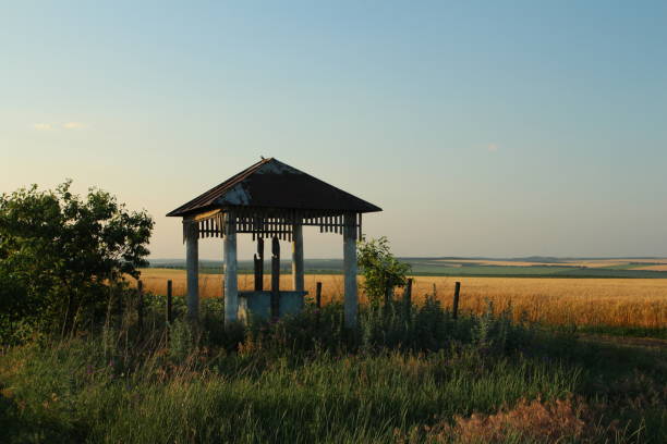A small wooden structure in a grassy field. Outdoor. Grass. Sky. Building. Lush