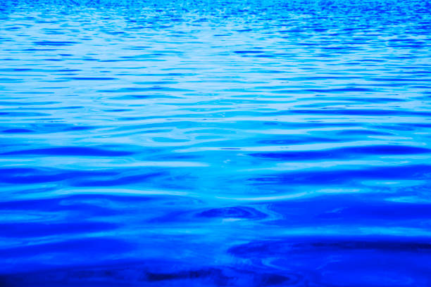 istock Beautiful spring blue lake in a large park 2156384368