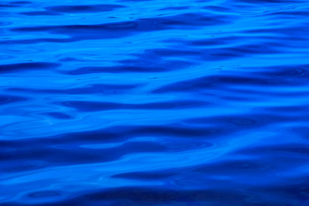 istock Beautiful spring blue lake in a large park 2156384423