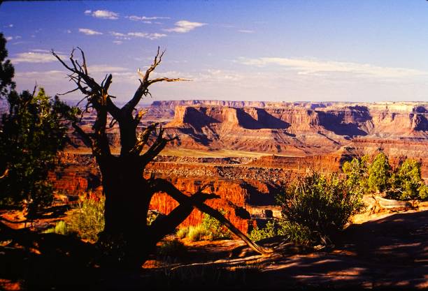 istock Sunrise at Dead Horse Point State Park Utah in September 1984 2156387915