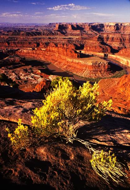 istock Sunrise at Dead Horse Point State Park Utah in September 1984 2156387916