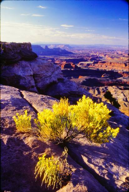 istock Sunrise at Dead Horse Point State Park Utah in September 1984 2156387956