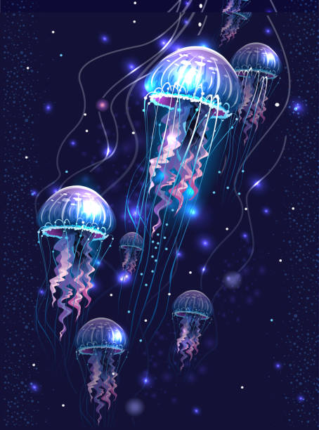 istock Glowing vivid transparent underwater jellyfishes 2156389260