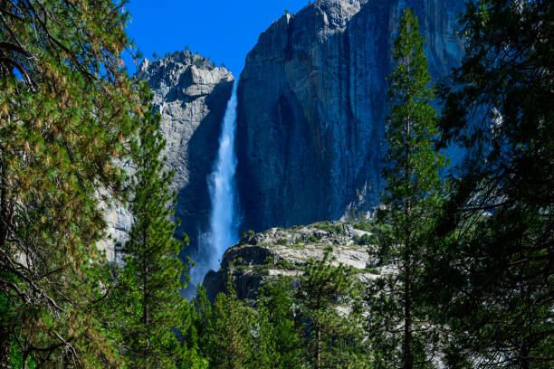 Spring view of Yosemite Falls as seen from the Yosemite Valley floor.Taken in Yosemite National Park, California, USA.