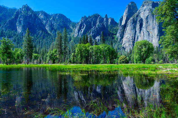 Cathedral Spires Reflected in Meadow Pond