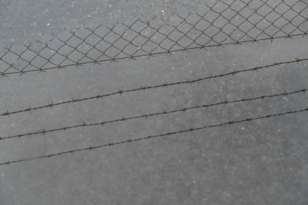 puddle on asphalt reflects barbed wire and a chain-link fence, symbolizing a prisoner's confinement.