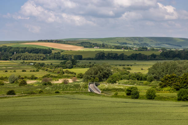 istock Green fields in rural Sussex, viewed from along the South Downs Way 2156400564