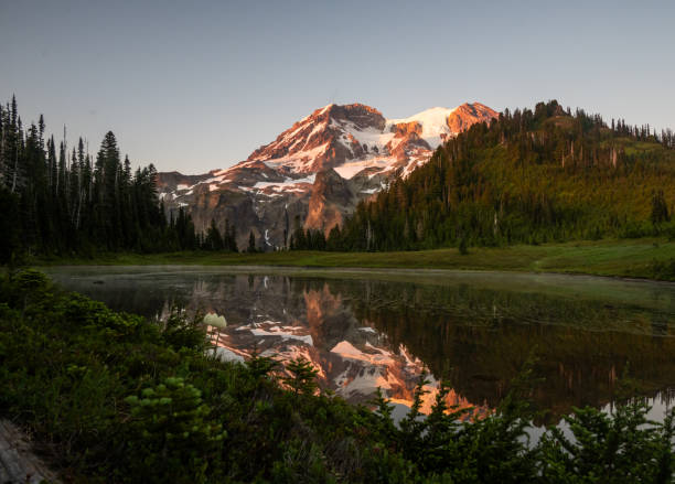 istock Aurora Lake Reflects Mount Rainier in Shallow Waters 2156401067