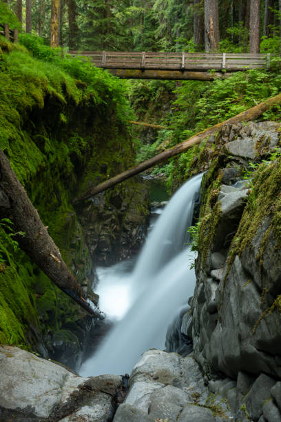 istock Bridge Over Dol Duc Falls In Olympic 2156401098