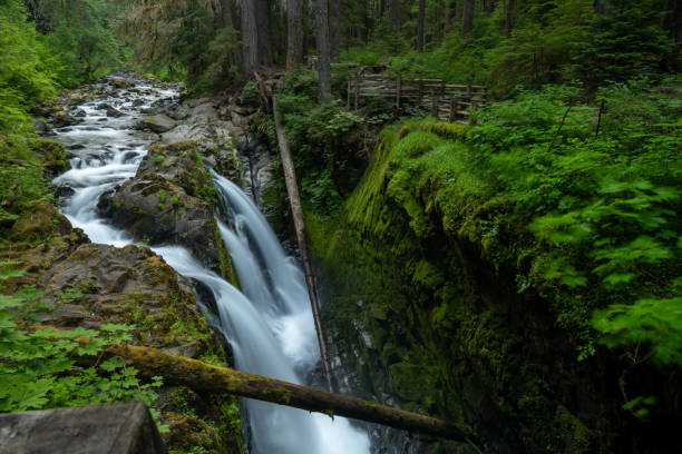 istock Long Exposure of Sol Duc Falls and Viewing Area in Olympic 2156401203
