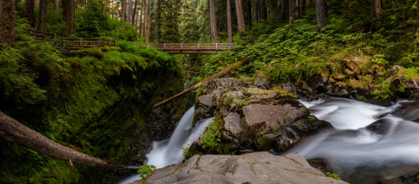 istock Panorama Of Sol Duc Falls Looking Toward Bridge In Summer 2156401383