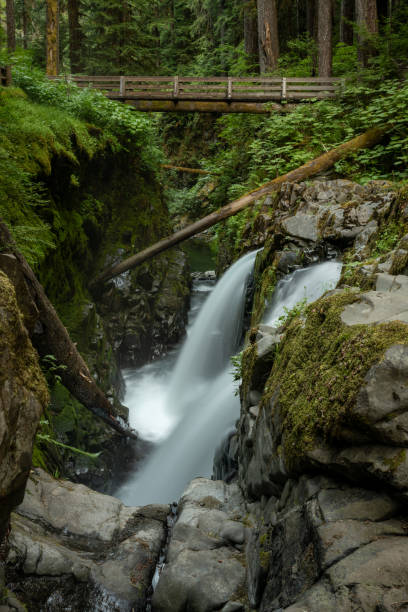 istock Sol Duc Falls Rushes Below Bridge High Above The Canyon 2156401854