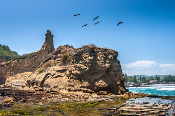 Ecuador. Rocky ocean. Birds fly over the rocks. Coastline.