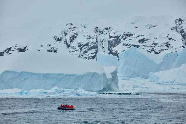 istock Zodiac Expeditions in Cierva Cove, Antarctica 2156408030