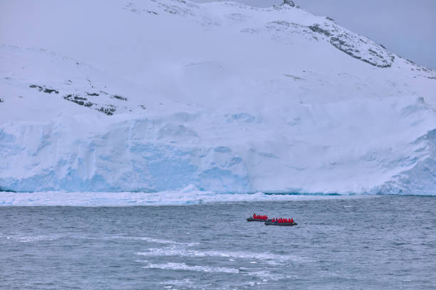 istock Zodiac Expeditions in Cierva Cove, Antarctica 2156408031