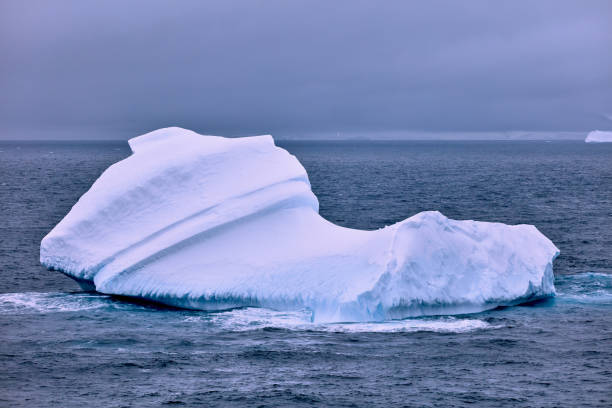 istock Zodiac Expeditions in Cierva Cove, Antarctica 2156408053