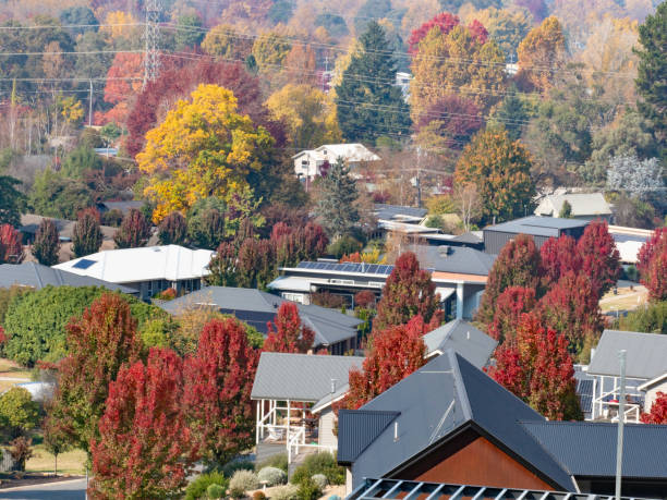 istock Suburban houses and air pollution 2156409588