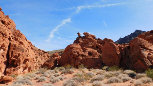 istock Redstone Trailhead in Lake Mead secret place 2156410344