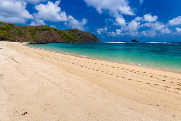 istock Pink sand on a beautiful tropical beach with offshore coral reef (Tampah) 2156410870