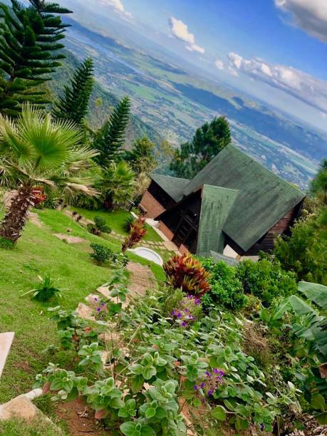 Houses Surrounded by Green Trees Up High in the Mountains Near Caguas Puerto Rico