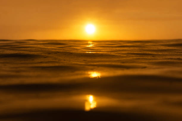 Golden sunrise over the tranquil waters of Byron Bay, Australia, capturing the serene beauty of the early morning light reflecting on gentle waves.