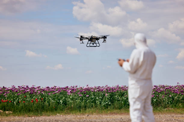 istock A male operator in a white uniform controls an agrodrone over the poppy seeds field. 2156419284