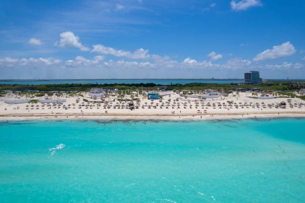 istock El Mirador dolphin beach, Cancun 2156425662