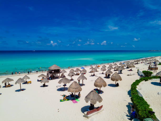 istock El Mirador dolphin beach, Cancun 2156427567