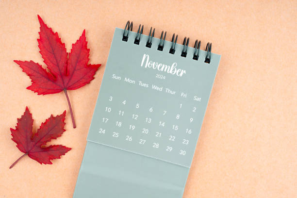 November 2024 monthly calendar and fall leaves on brown background.