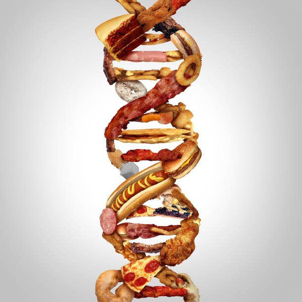 istock Junk Food DNA 2156430374