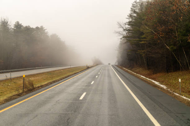 A long, empty road stretches into a foggy landscape, lined by barren trees, creating a serene and mysterious atmosphere.