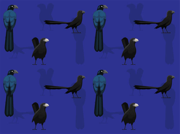 ilustraciones, imágenes clip art, dibujos animados e iconos de stock de bird ani dibujos animados lindo fondo de pantalla sin costuras - garrapatero asurcado