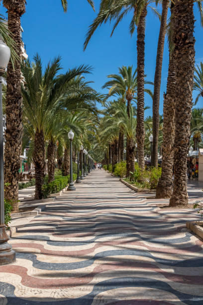 istock The Esplanade, Alicante, Spain 2156437990