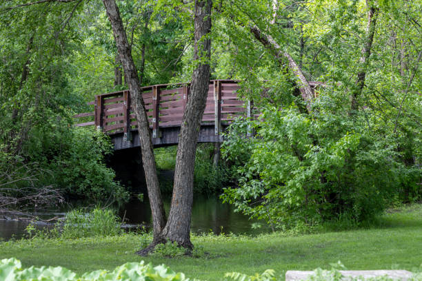 istock Rustic wooden bridge over a woodland creek 2156439411