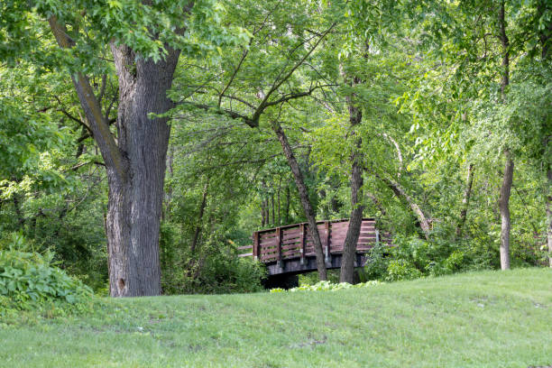 This image shows a rustic wooden bridge over a creek in a rural woodland area surrounded by trees.