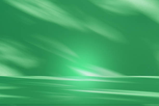 istock Wall interior background, studio and backdrops show products.with shadow leaf from window color green . background for text insertion and presentation product 2156442635