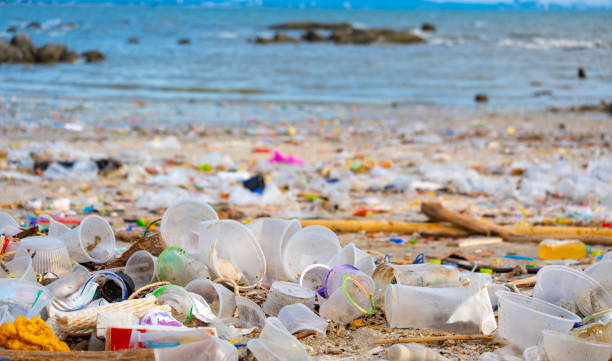 istock Garbage and plastic cups plastic bags at the beach Concept of environmental problems and healing the world 2156442696