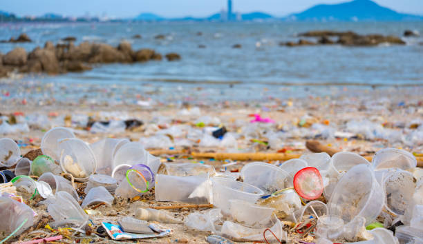 istock Trash, plastic cups and plastic bags at the beach. environmental problem concept and healing the world 2156442702