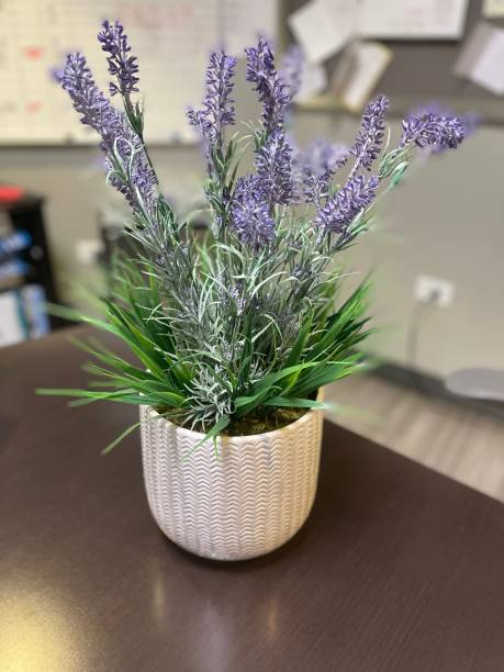 istock Vibrancy in the workplace; a touch of nature. 2156447644