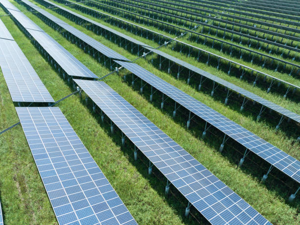 istock Farm uses solar energy to generate electricity 2156447693