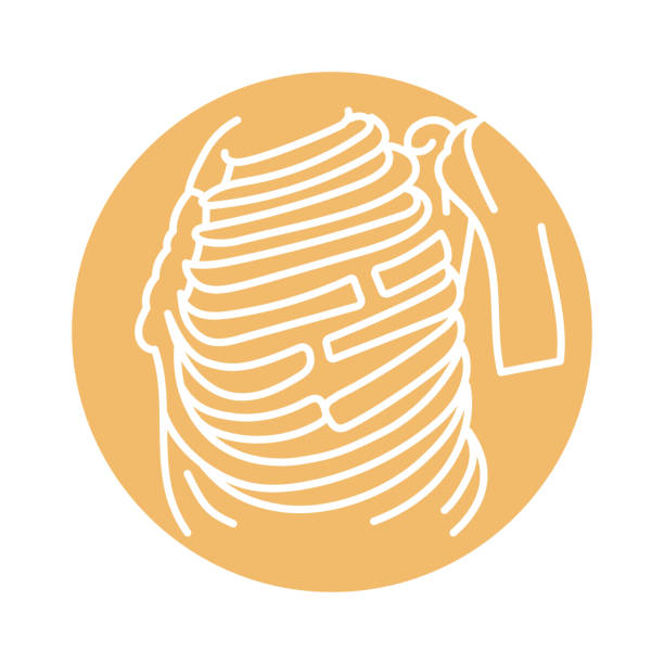Broken ribs bone line black icon. Broken ribs bone line black icon. Sign for web page, mobile app, button, logo. Vector isolated button. Editable stroke. femur bone anatomy drawing stock illustrations