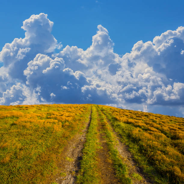 green mountain valley covered by forest under a dense cumulus clouds